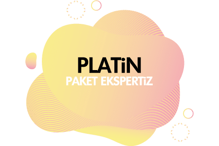 PLATIN2